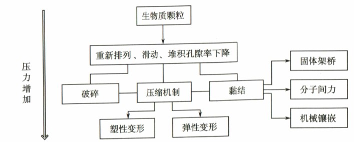 生物質成型過程中作用力的形成過程及機制 生物質成型過程中作用力的形成過程及機制